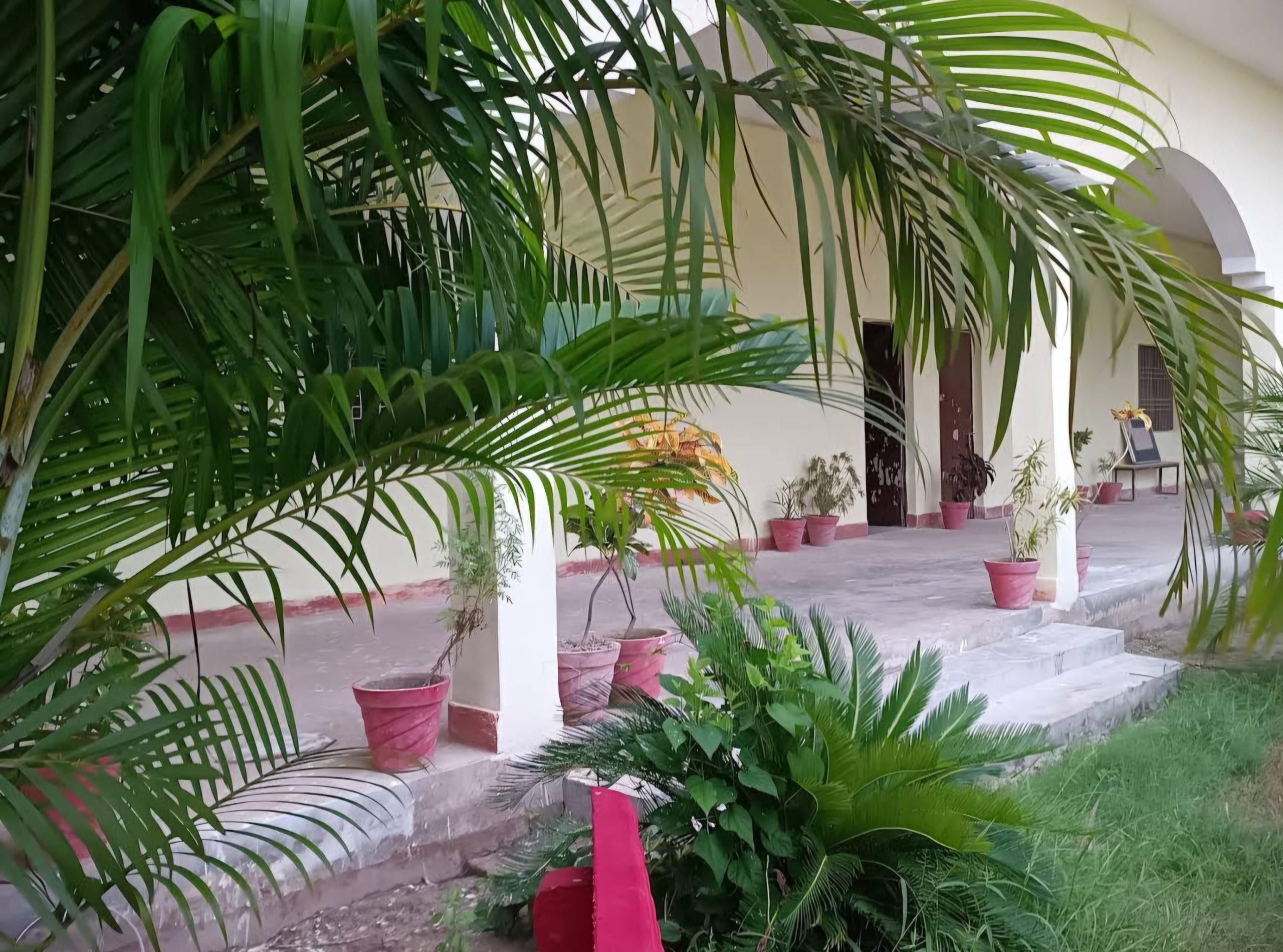 WhatsApp Image 2024-10-08 at 9.54.14 PM (1)