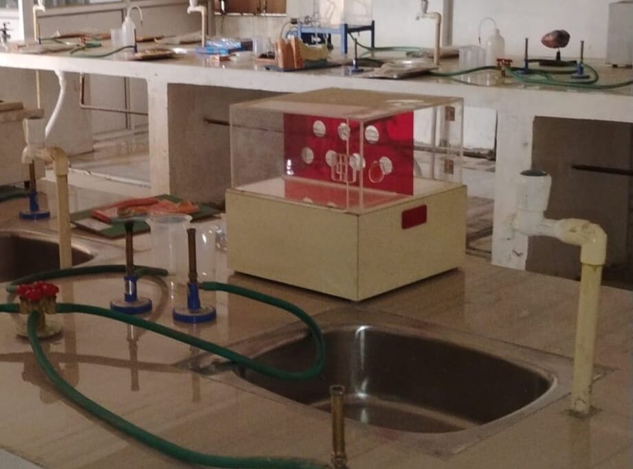 WhatsApp Image 2026-03-11 at 1.10.17 PM